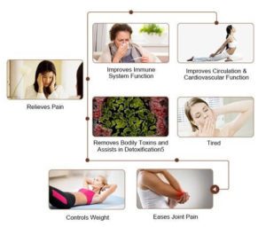 Health Benefits of Carefit Thermal Massage Bed & Heating Pad